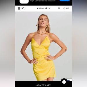 retrofete Leah silk dress BNWT